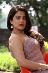 Ayesha Singh at Yedu Chepala Katha Movie Prees Meet
